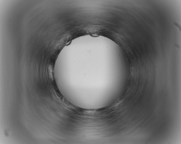 X0000103170575200808221131