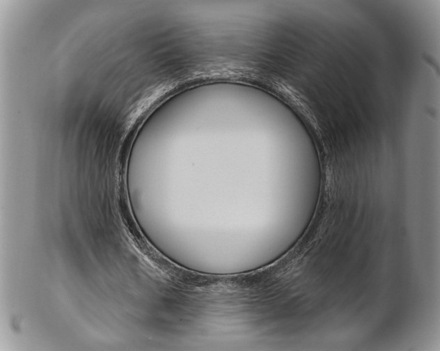 X0000103170578200808221130