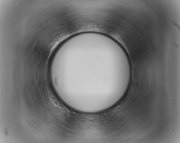 X0000103170579200808221130