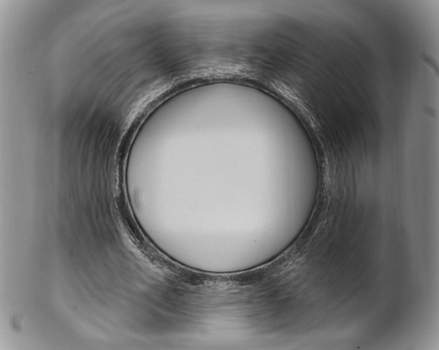 X0000103170582200808221130