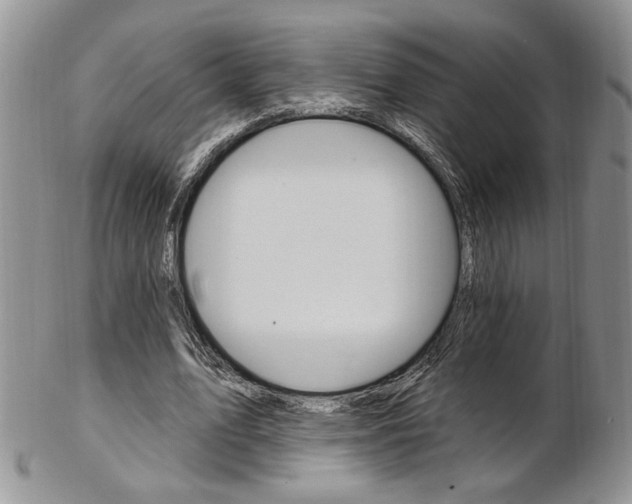 X0000103170583200808221130