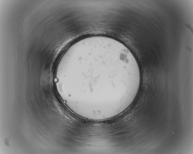 X0000103170584200808221130