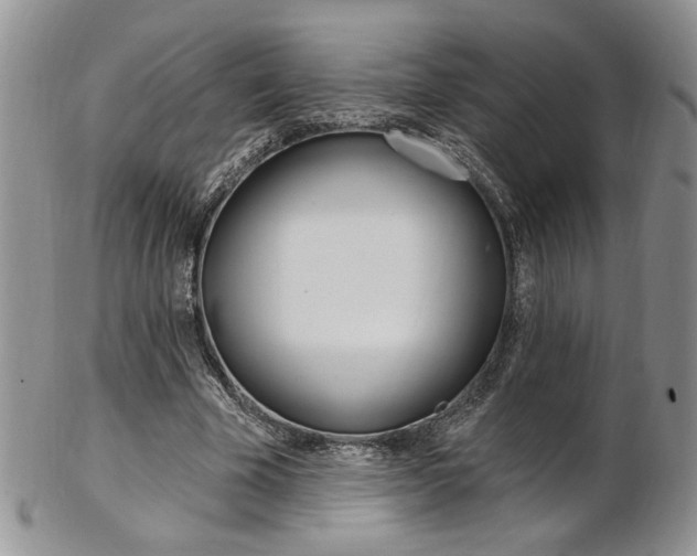 X0000103170585200808221130