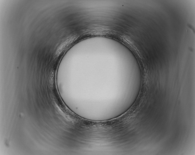 X0000103170586200808221130