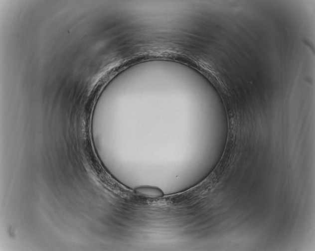 X0000103170587200808221130