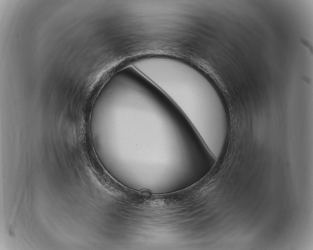 X0000103170588200808221130