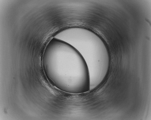X0000103170589200808221130