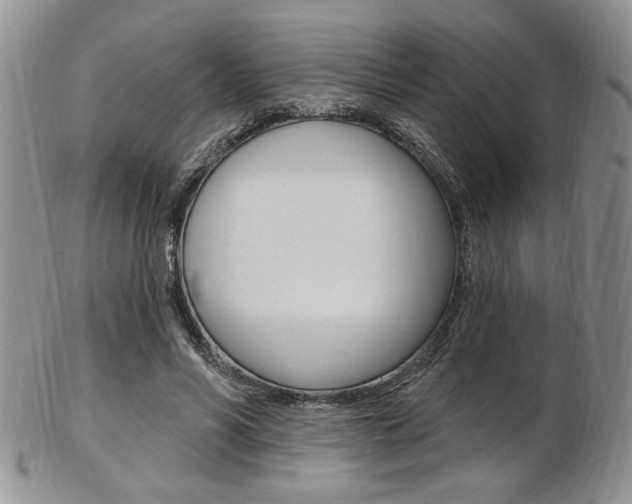 X0000103170590200808221130