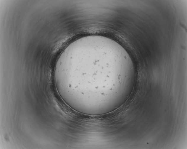 X0000103170592200808221130