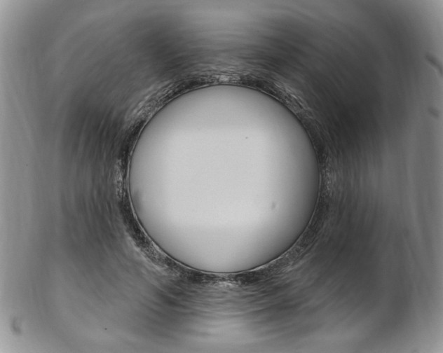 X0000103170594200808221130