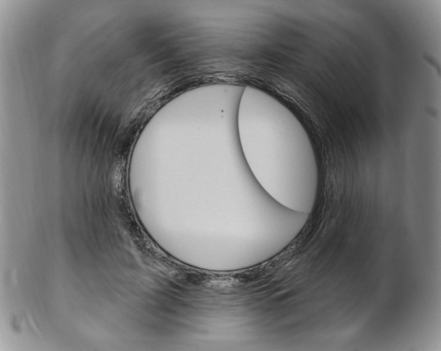 X0000103170595200808221130