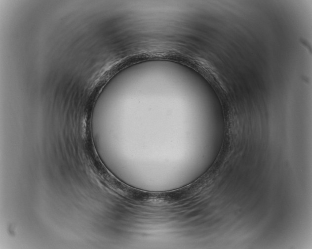 X0000103170596200808221130