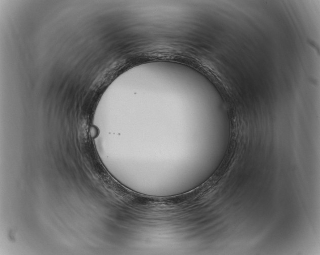 X0000103170597200808221130