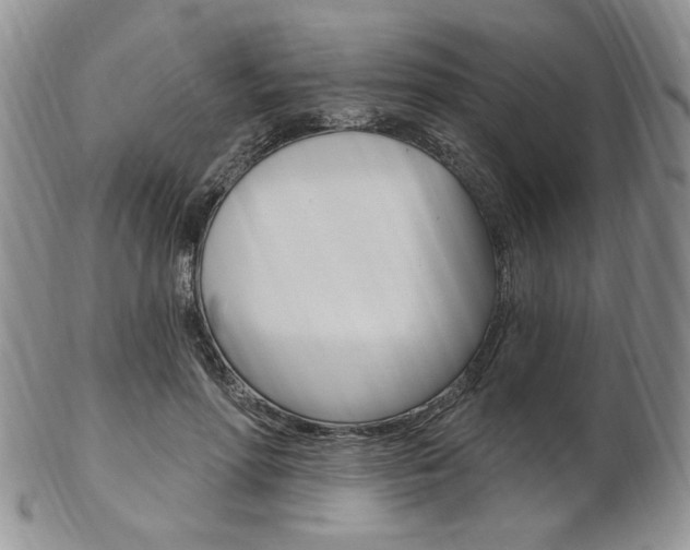 X0000103170598200808221130