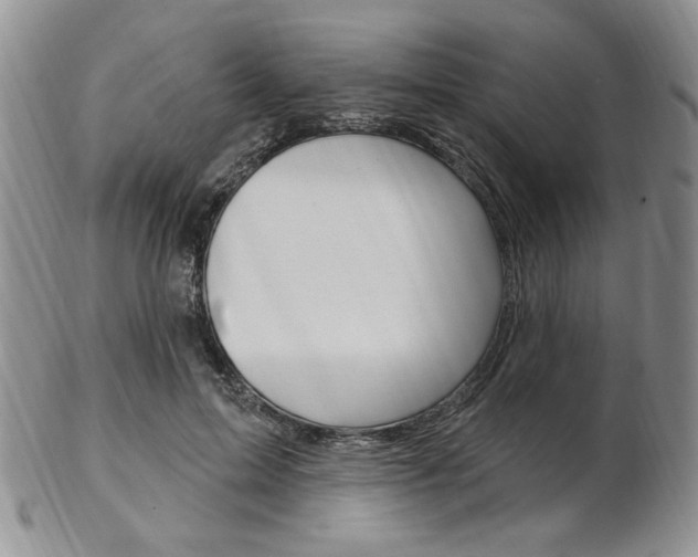 X0000103170599200808221130