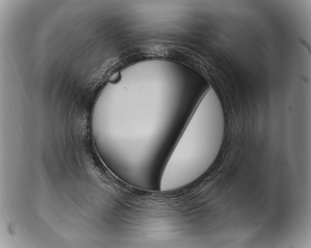 X0000103170600200808221130
