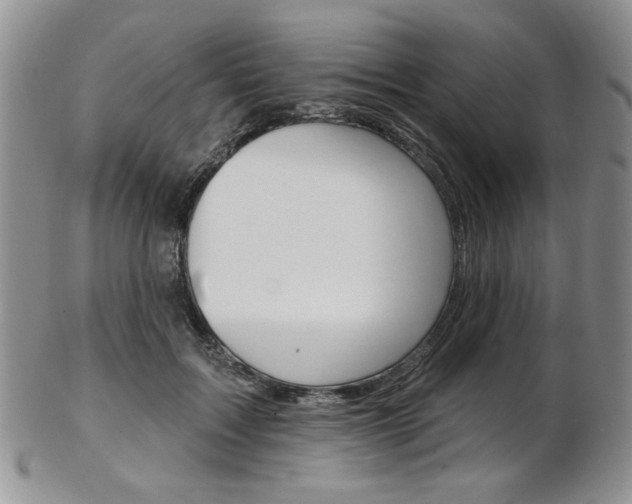 X0000103170603200808221130