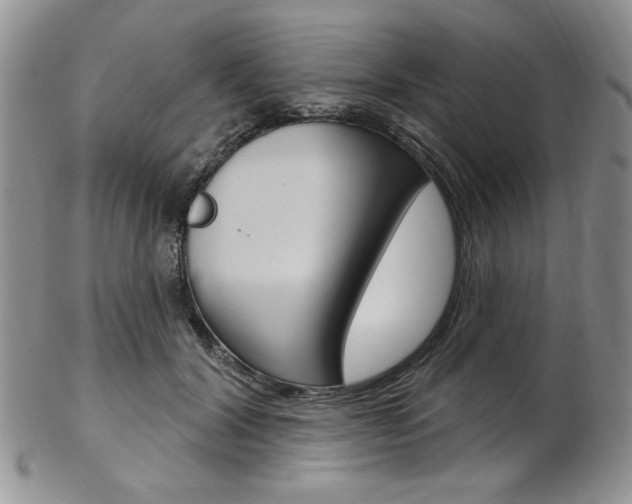 X0000103170604200808221130