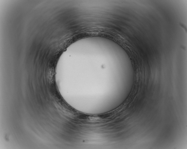 X0000103170605200808221130