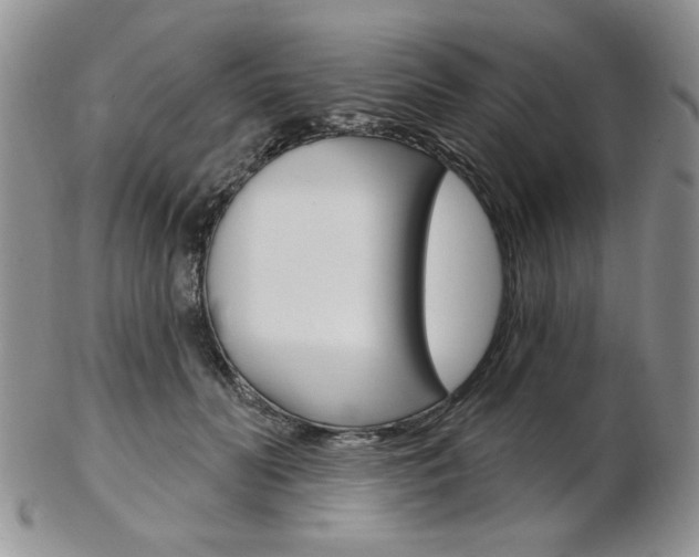 X0000103170606200808221130