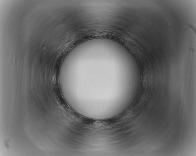 X0000103170608200808221130