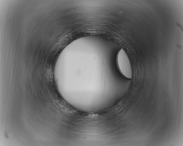 X0000103170609200808221130