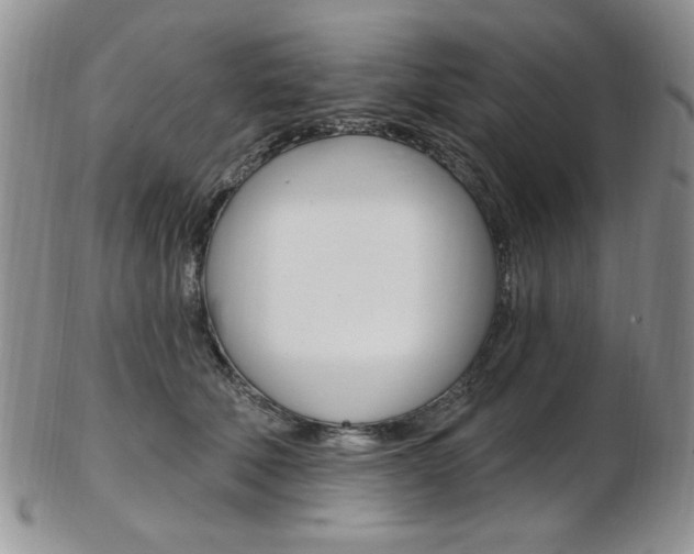 X0000103170610200808221130