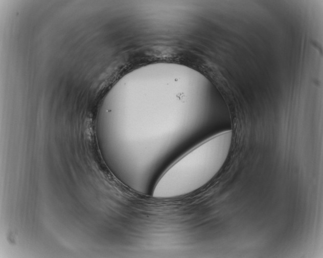 X0000103170612200808221130