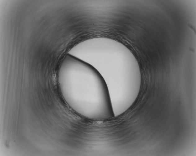 X0000103170613200808221130