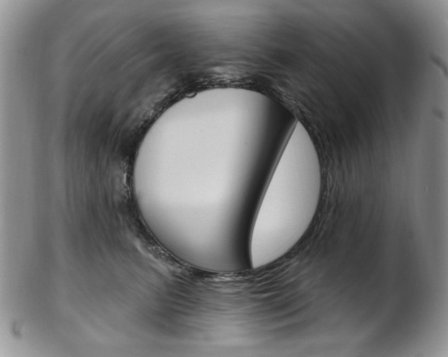 X0000103170615200808221129