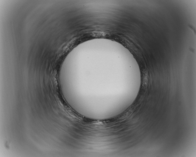 X0000103170616200808221129