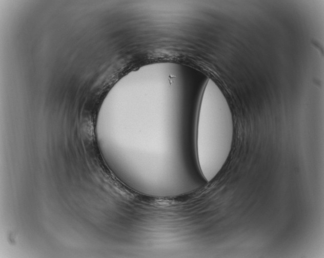 X0000103170617200808221129