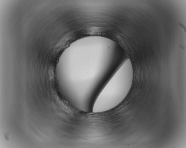 X0000103170620200808221129