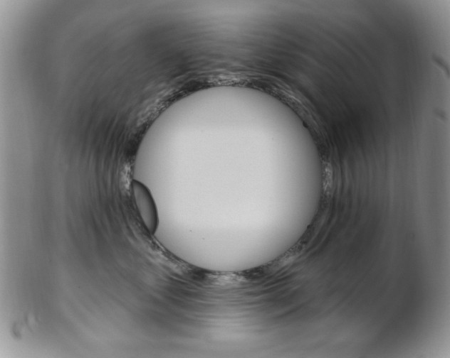 X0000103170621200808221129