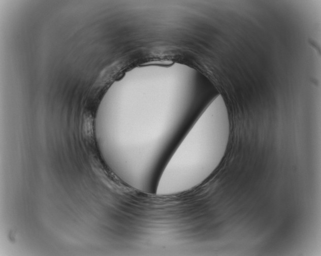 X0000103170623200808221129