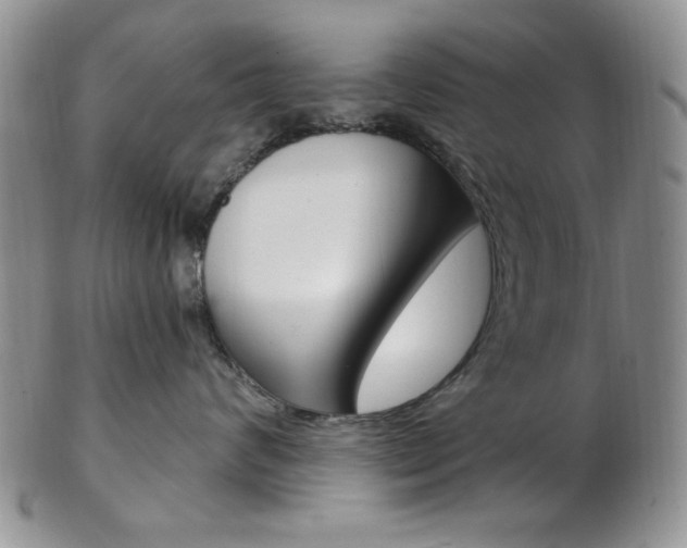 X0000103170624200808221129