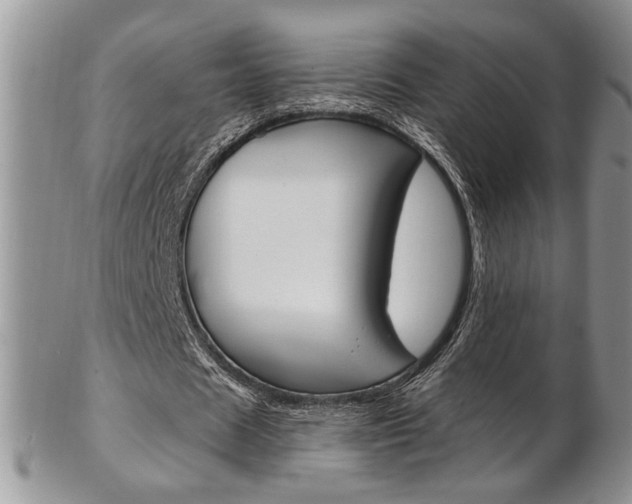 X0000103170625200808221129
