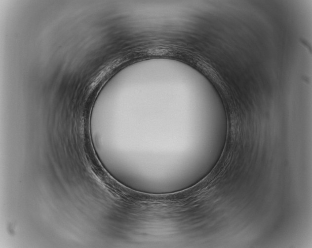 X0000103170626200808221129