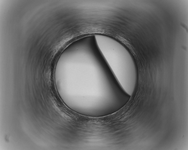 X0000103170627200808221129