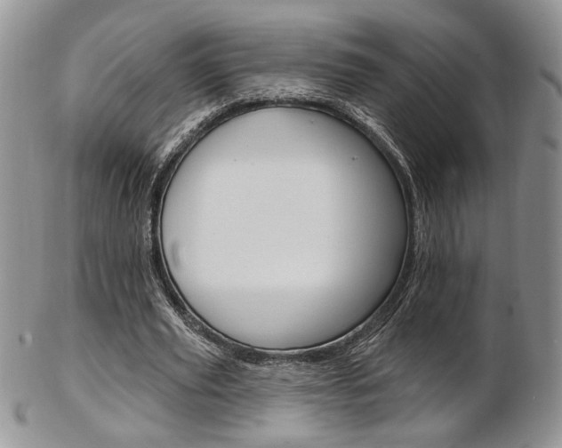 X0000103170629200808221129