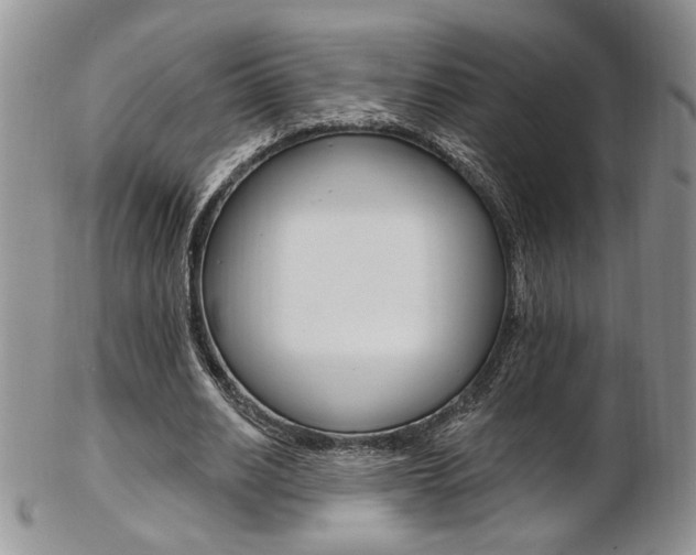 X0000103170630200808221129