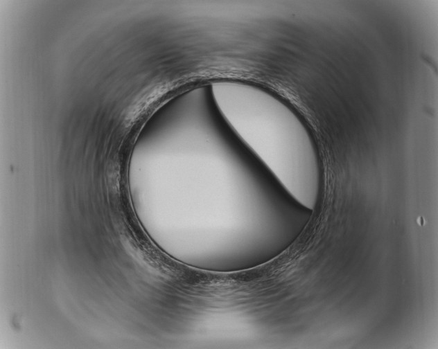 X0000103170631200808221129