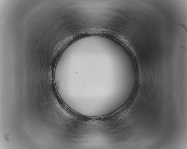 X0000103170633200808221129