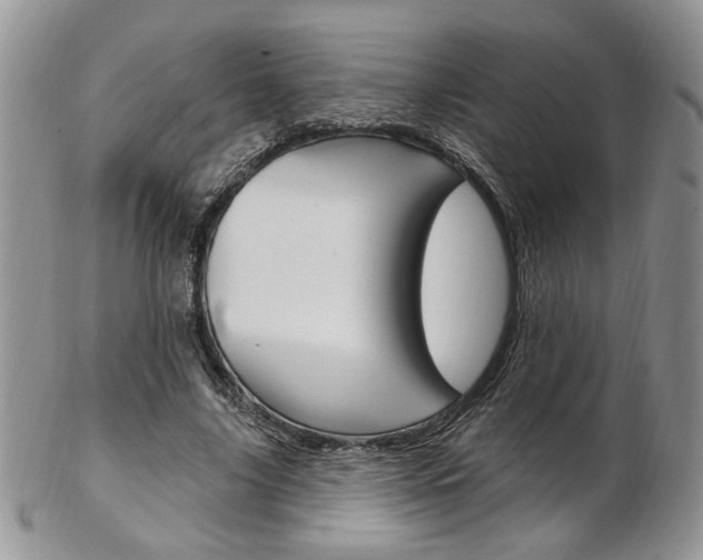 X0000103170635200808221129