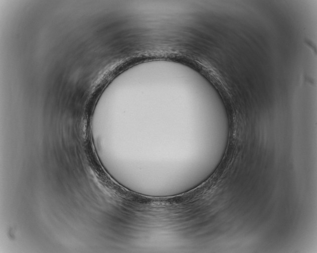 X0000103170636200808221129