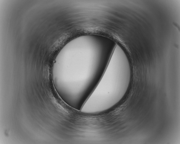 X0000103170637200808221129