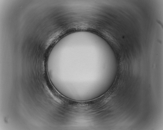 X0000103170638200808221129