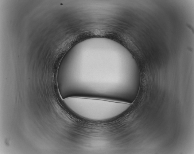 X0000103170639200808221129