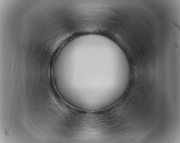 X0000103170640200808221129