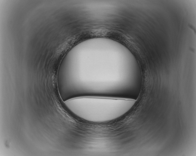 X0000103170641200808221129